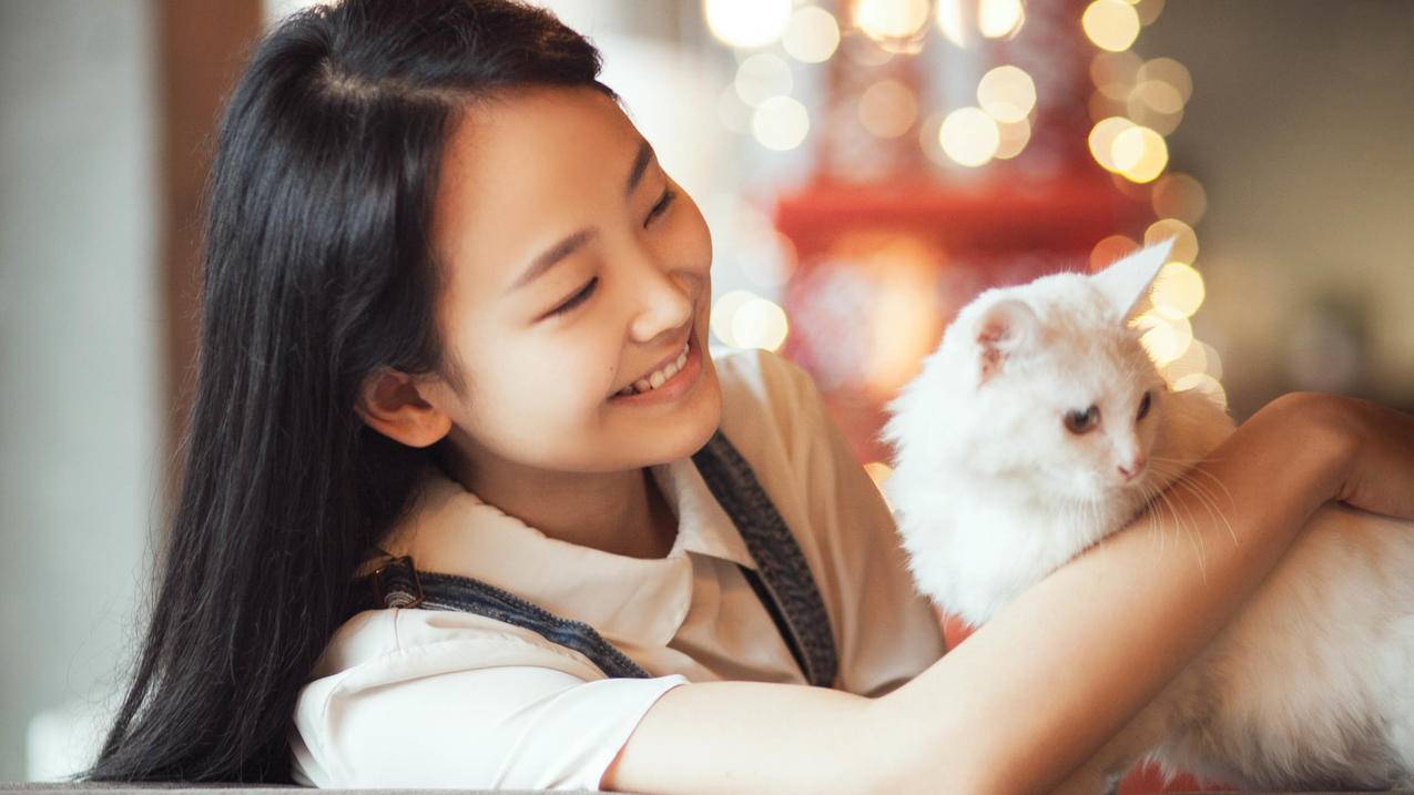 快手业务创新组-qq