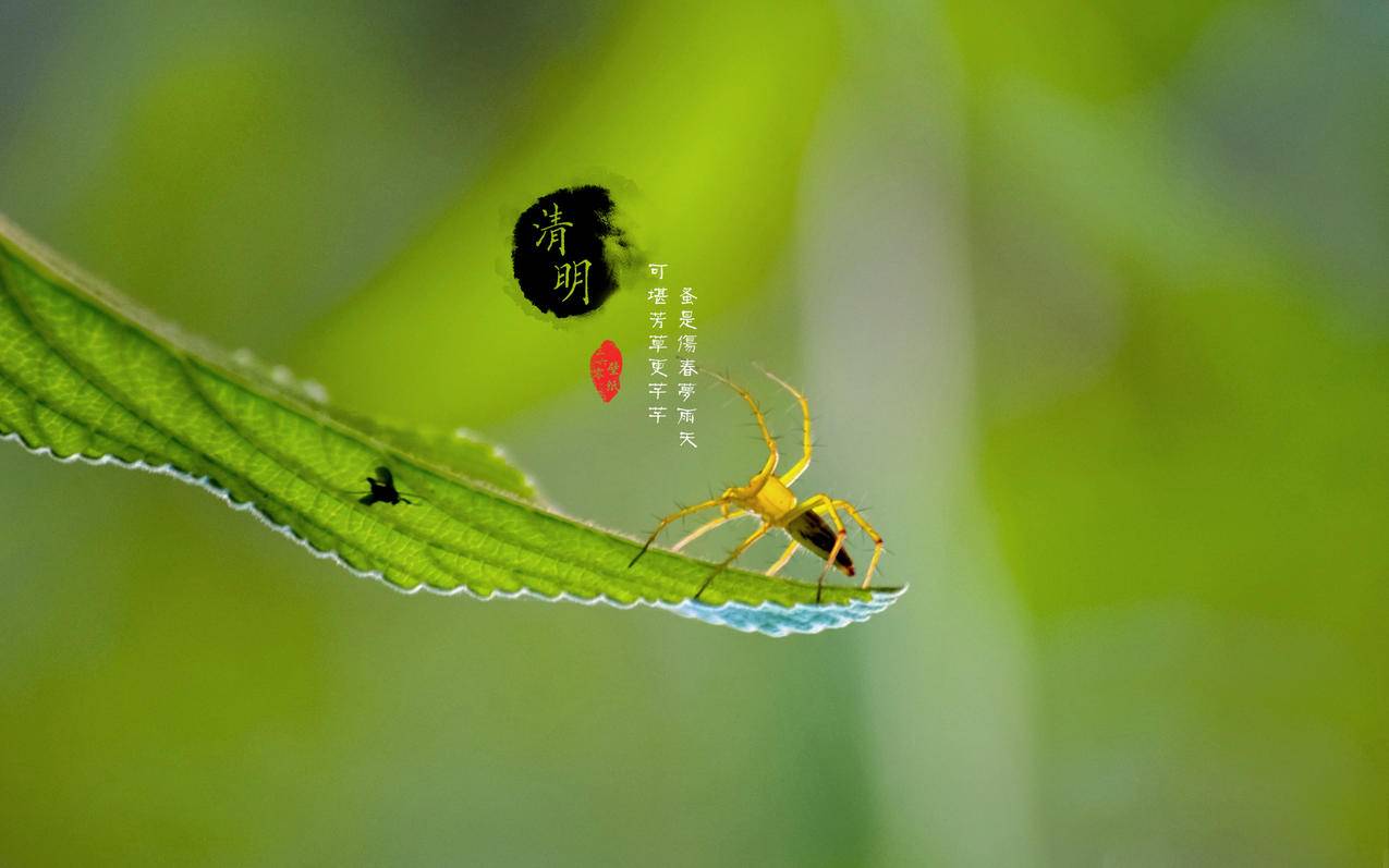 快手买赞一元500个