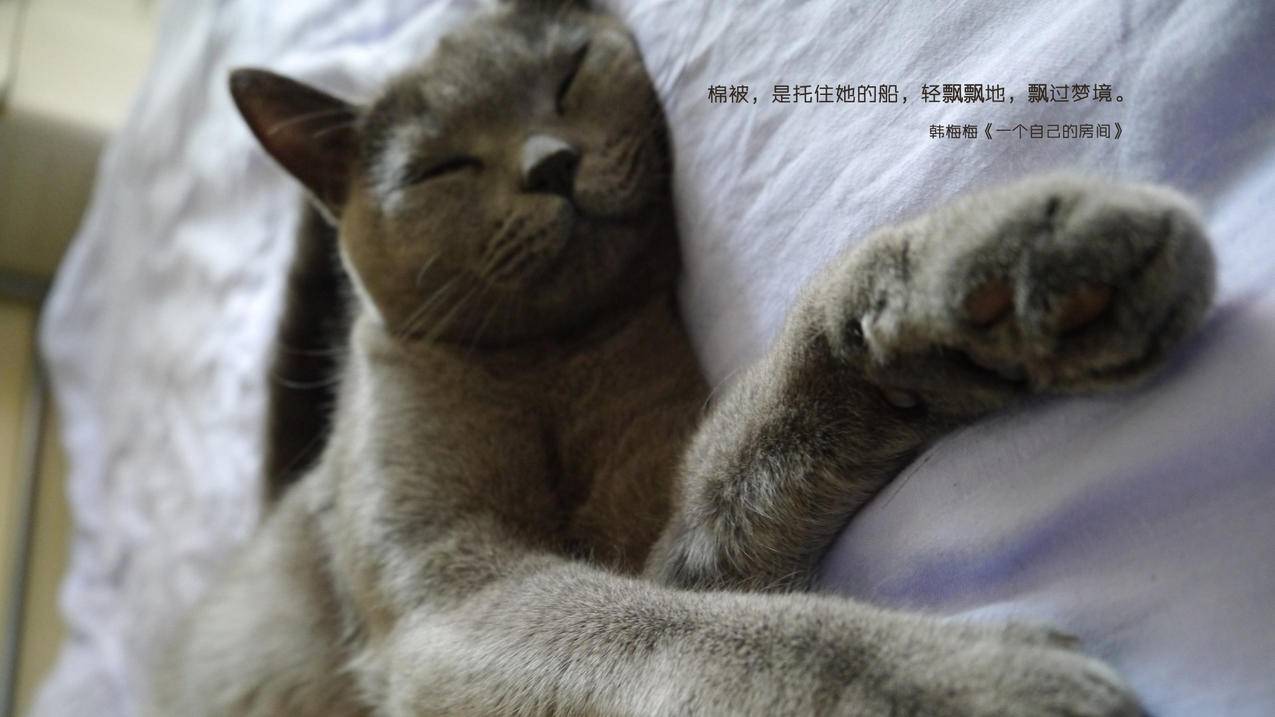 抖音在线直播刷人气,