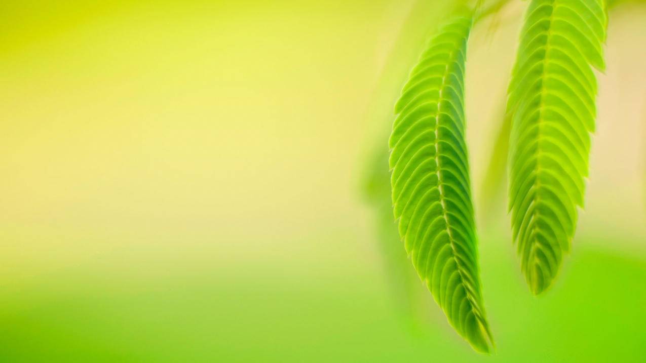 汇梦代刷网 - 灵枫代刷网