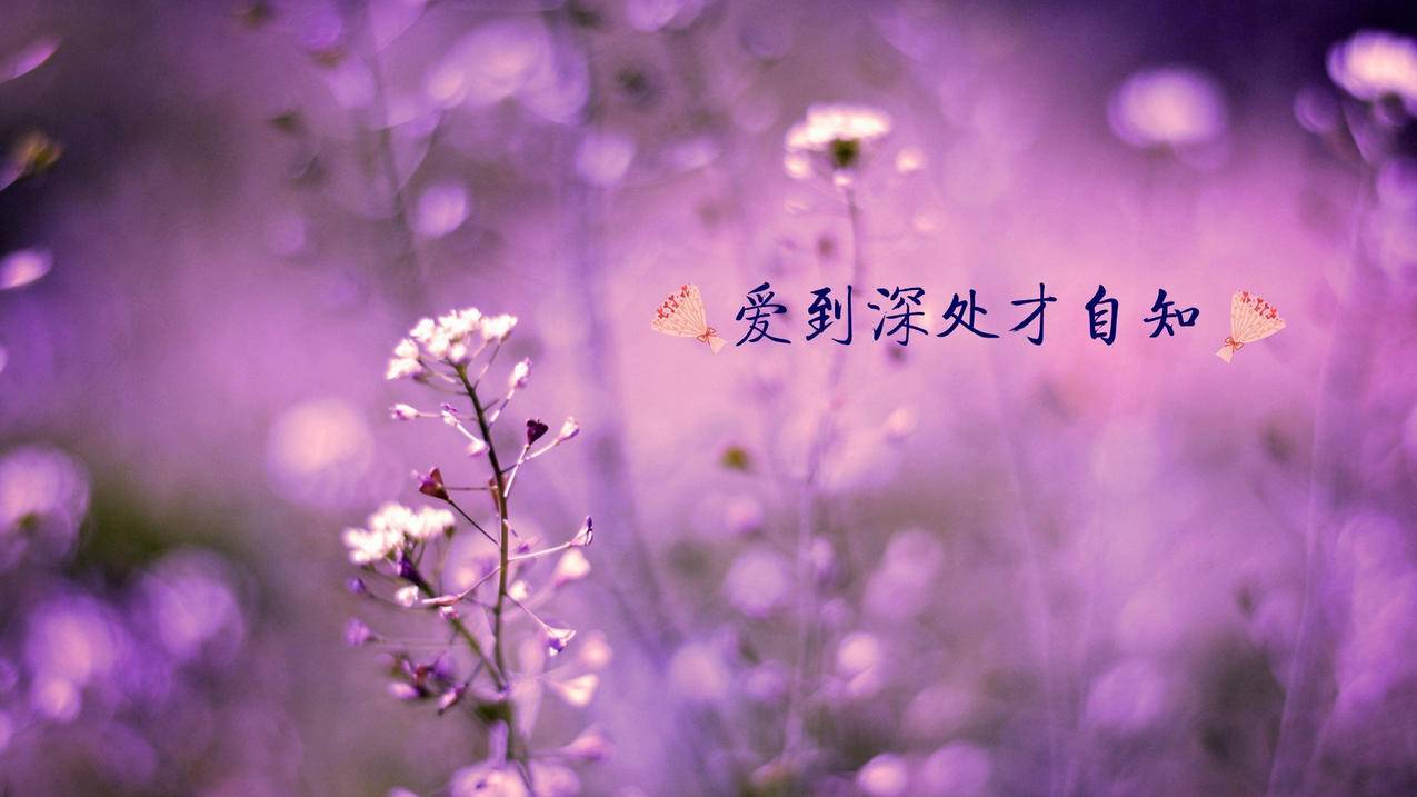 快手一元钱100个粉丝 - qq空间低价代网站刷访客,低价刷快手业务代刷网_qq说说赞墨言0元刷