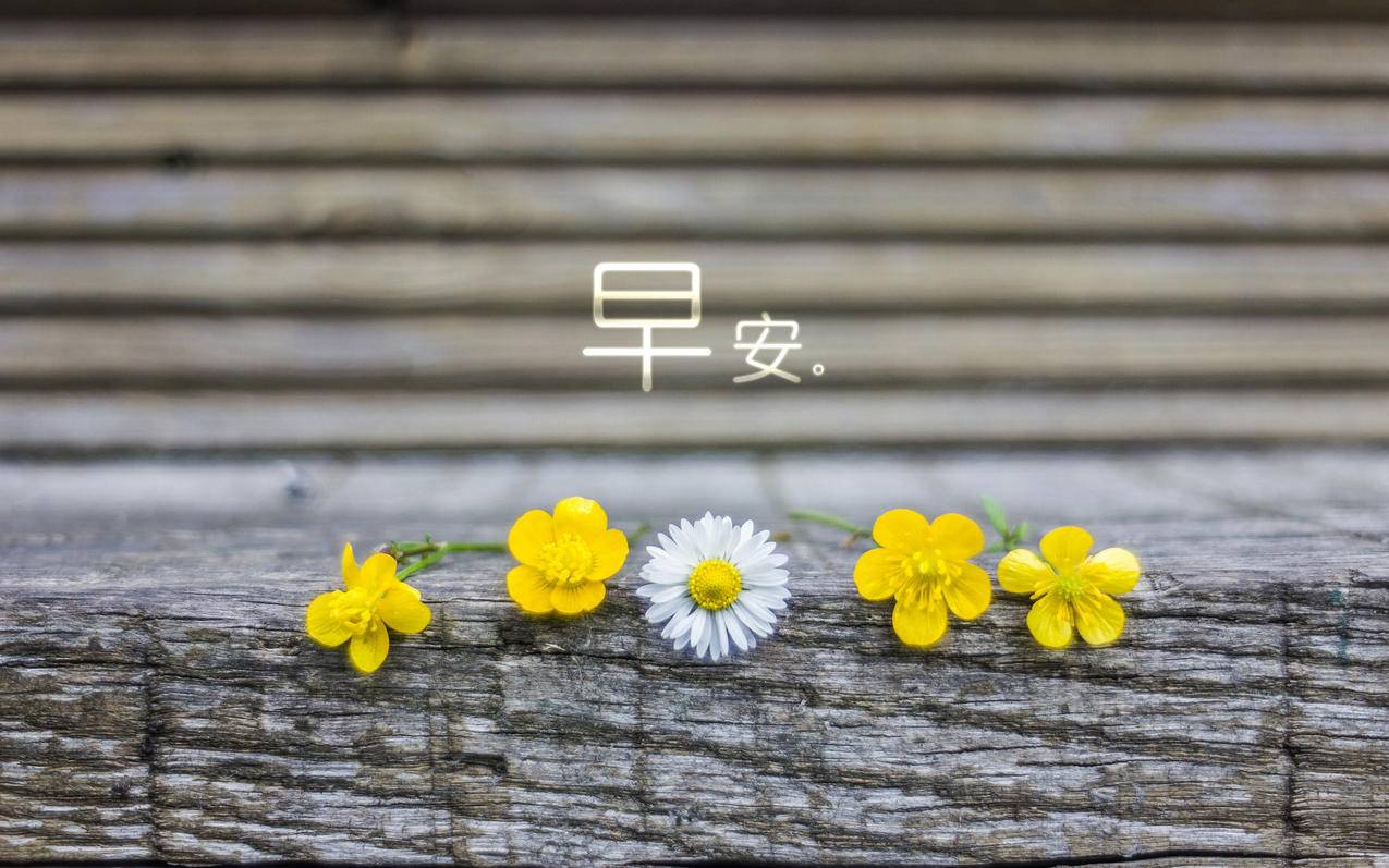 先哲代刷 - 快手刷粉网站1元100粉,快手业务浏览量下单平台