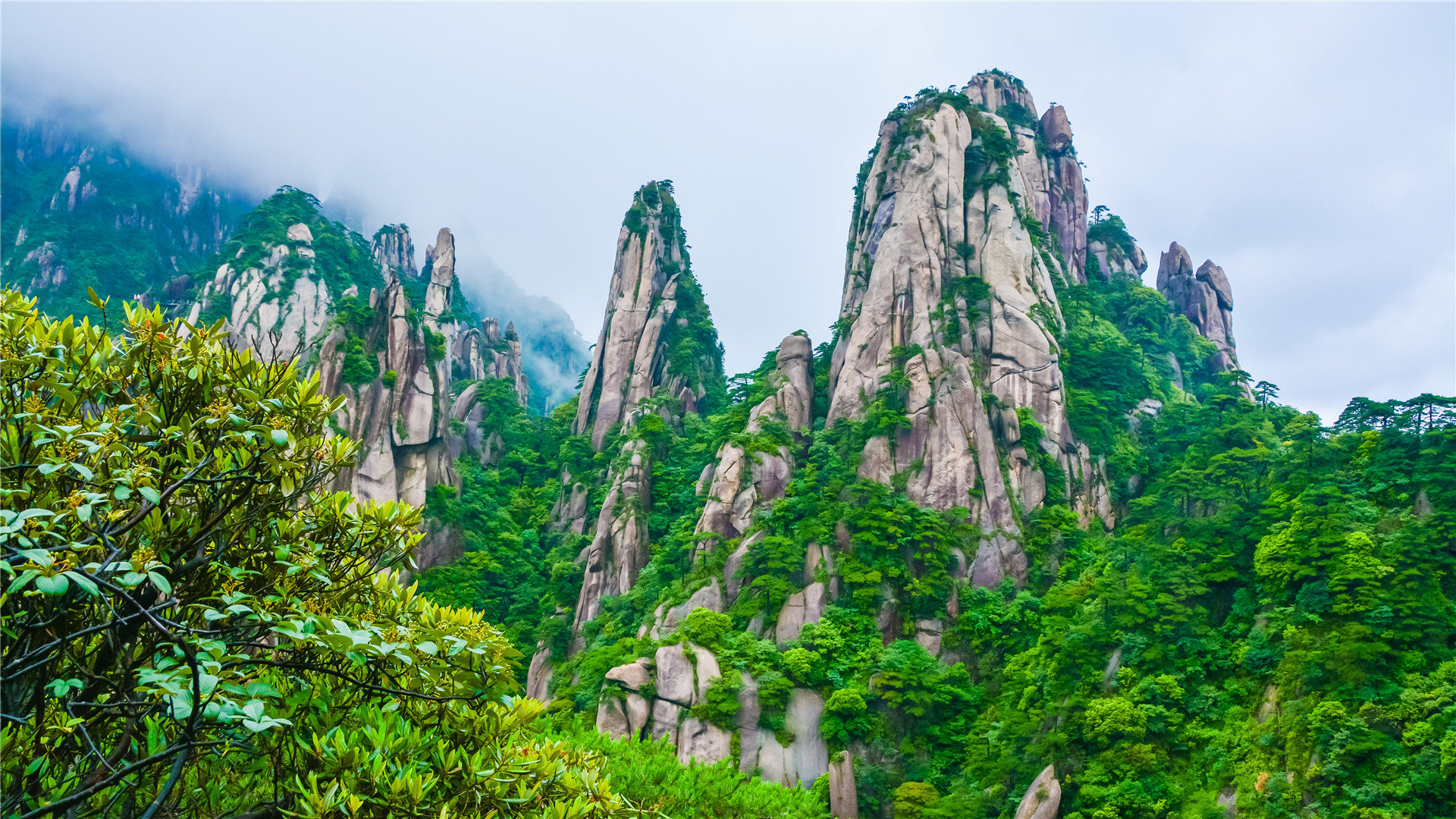 快手刷活人粉丝平台 